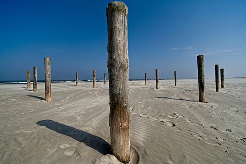 Palen op het strand van Theo Felten