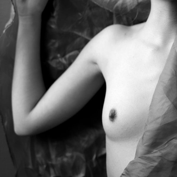 Velvet fine art nude photography series by Marieke Feenstra