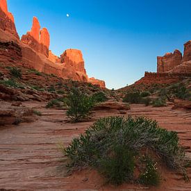  Arches Nationalpark von Marcel Tuit