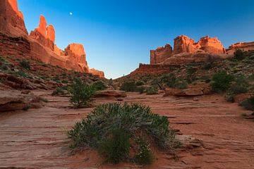 Arches national park by Marcel Tuit