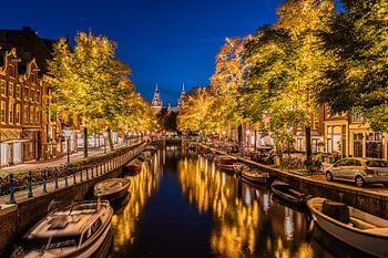 Goldene Bäume entlang der Spiegelgracht in Amsterdam