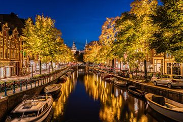 Goldene Bäume entlang der Spiegelgracht in Amsterdam von Jeroen de Jongh