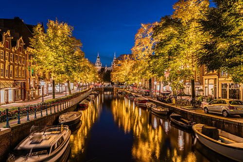 Gouden bomen langs de Amsterdamse Spiegelgracht