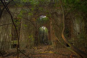 Poveglia sur Elise Manders