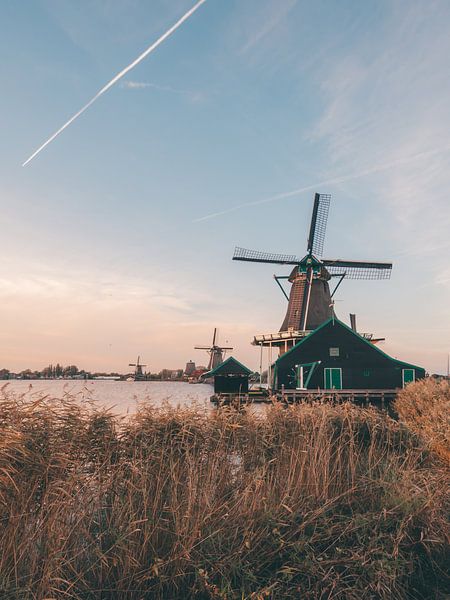 Drei niederländische Windmühlen in Zaanse Schans während der Goldenen Stunde von Michiel Dros