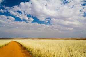 Namibie sur Denis Feiner