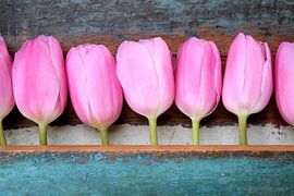 een groep roze tulpen met houten vintage achtergrond von Sonja Blankestijn