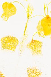 Lantern lily in ice 3