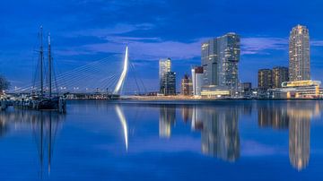 Abendaufnahme der Skyline von Rotterdam und der Erasmus-Brücke.