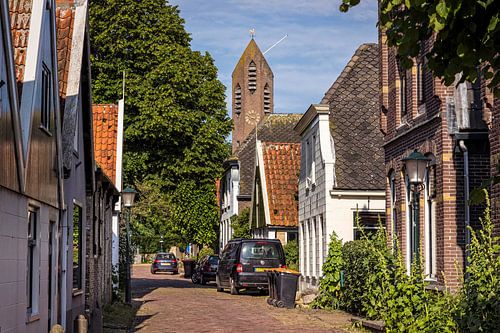 De Waal sur l'île de Texel