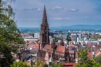 Freiburger Münster