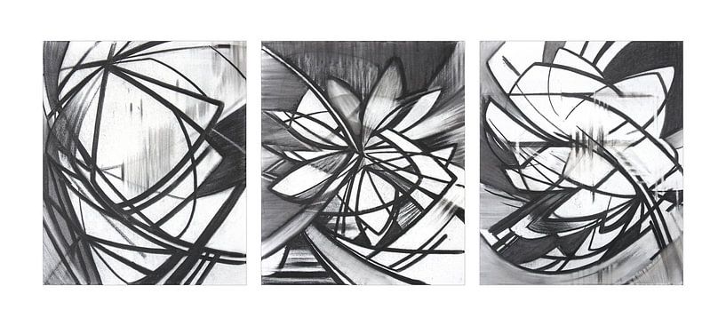 &#039;Pioneering&#039; Series 1 - 2009 by Hans Zantman