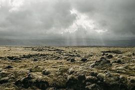 The lava fields in Iceland ❘ Nature photography ❘ Lava ❘ Nature photography ❘ Sun in Iceland by Floor Bogaerts