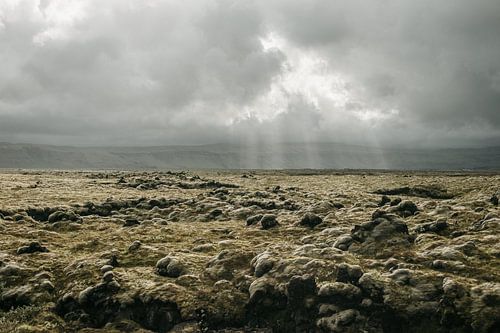 De lavavelden in Ijsland ❘ Natuurfotografie ❘ Lava ❘ Natuurfotografie ❘ Zon in Ijsland