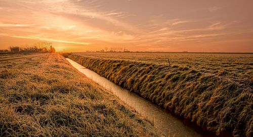 Polder landscape in winter with sunrise