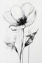 Elegante Eenheid: Minimalistische Bloemillustratie van But First Framing thumbnail