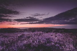 Zonsopkomt op de Postbank