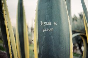 Jesus is alive von Jonathan Schöps | UNDARSTELLBAR