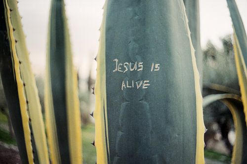 Jesus is alive
