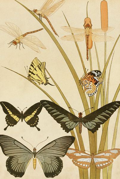 Butterflies, Maurice Pillard Verneuil by Masterful Masters