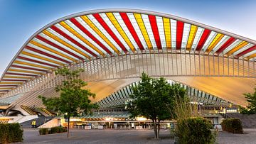 Station Luik-Guillemins van Mark Bolijn