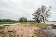 Überschwemmungen in den Überschwemmungsgebieten eines niederländischen Flusses von Ruud Morijn Miniaturansicht