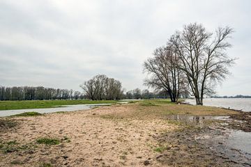 Plaines inondables d'une rivière néerlandaise