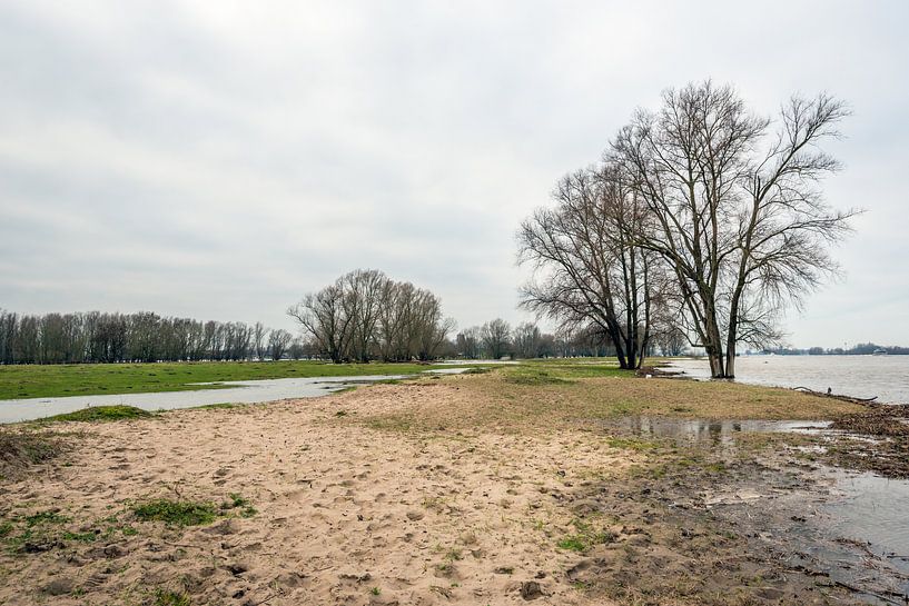 Überschwemmungen in den Überschwemmungsgebieten eines niederländischen Flusses von Ruud Morijn