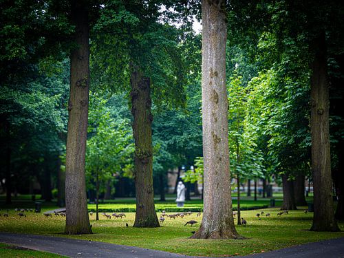 Stadspark Valkenberg in Breda (Niederlande)