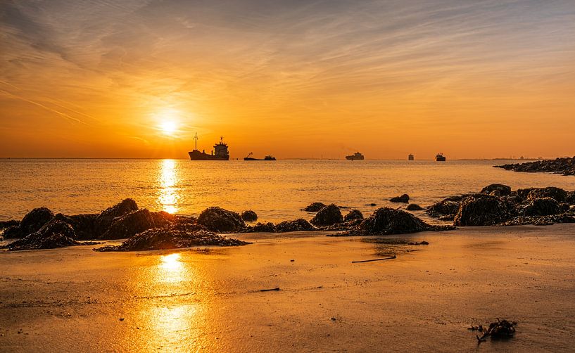 Avondgloed van Ria Overbeeke