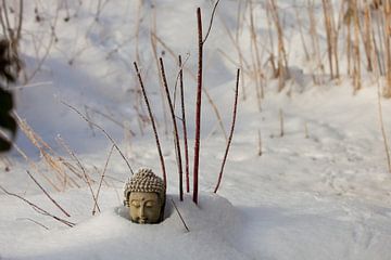 Winterlandschap met Boeddha van t.ART