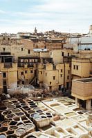 Fez tannery