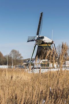 Dutch windmill in winter landscape by Heidi Bol