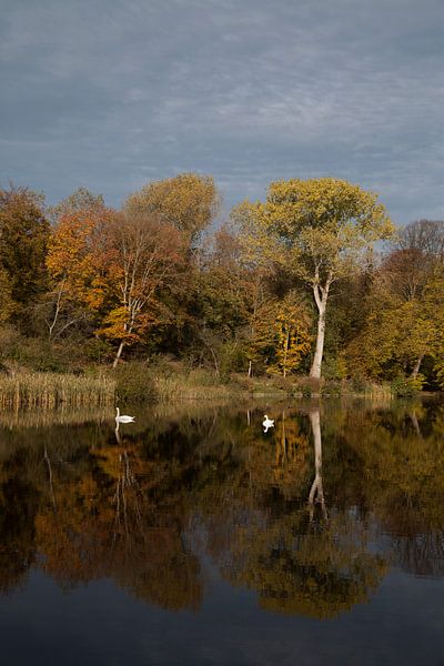 Autumn mirroring by Daan Ruijter