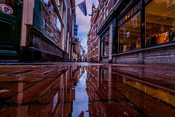 Fnidsen na een regenbui van peterheinspictures