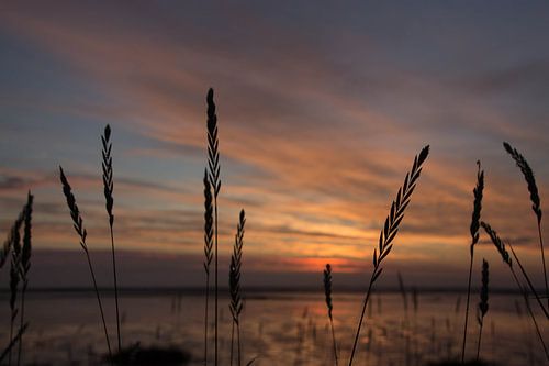 Sunrise - North Sea