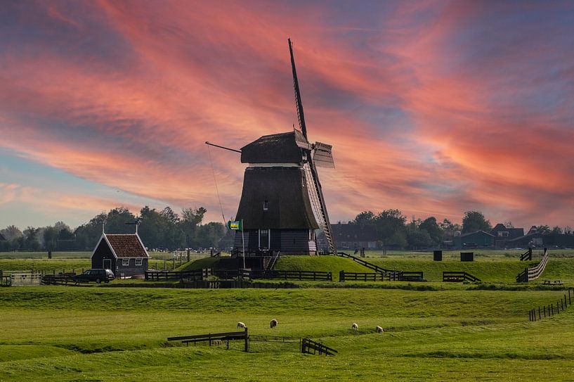 Holland by Brian Morgan