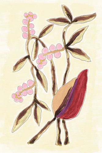 Pink Berry Botanicals