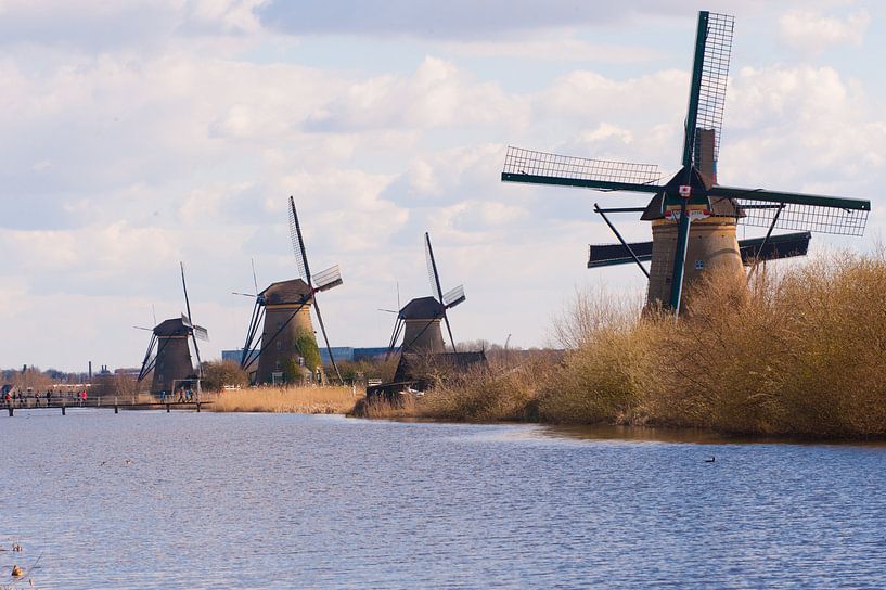 Rows Of Windmills von Brian Morgan