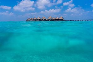 View under and over the water on the Maldives by Christian Klös