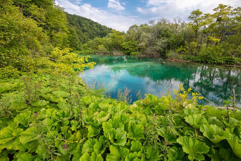 Le parc national des lacs de Plitvice au centre de la Croatie par Joost Adriaanse