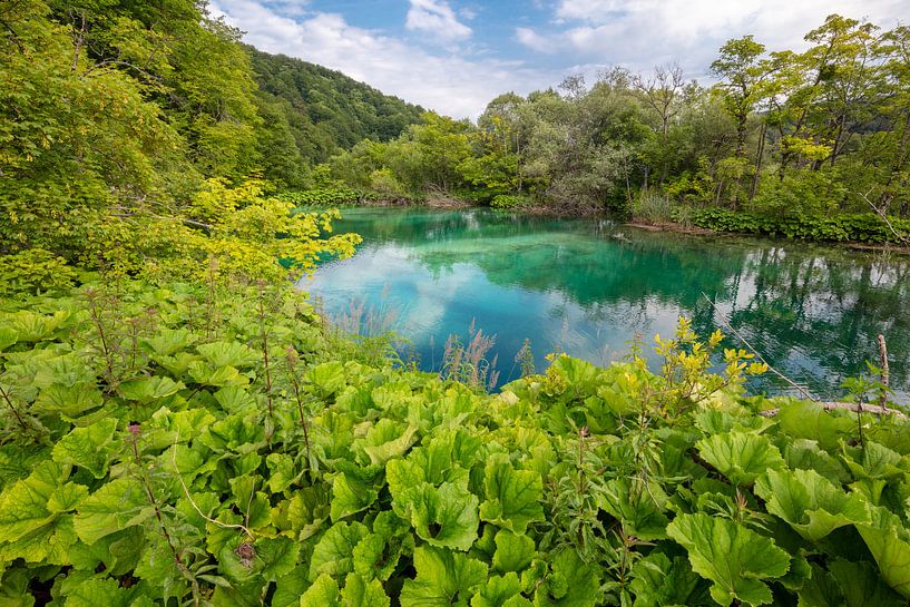 Plitvice Lakes nationaal park in centrum van Kroatie van Joost Adriaanse