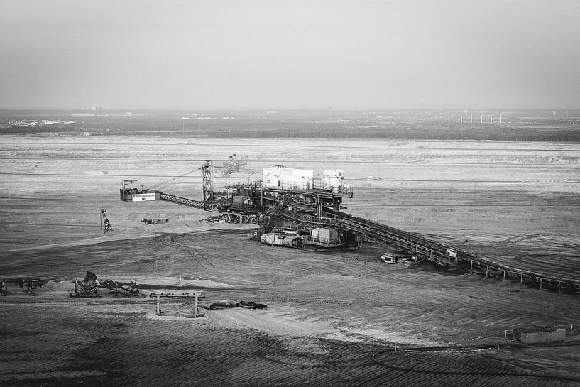 Hambach open pit weaners SW by Michael Baron