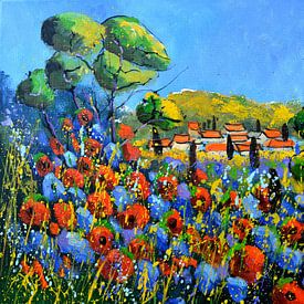 Red poppies in Provence 54 by pol ledent