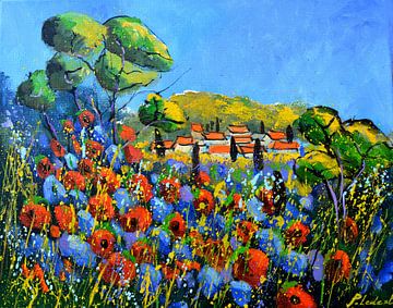 Rode klaprozen in de Provence 54 van pol ledent