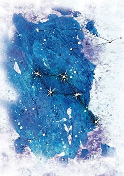 Constellation Dolphin by Larysa Golik