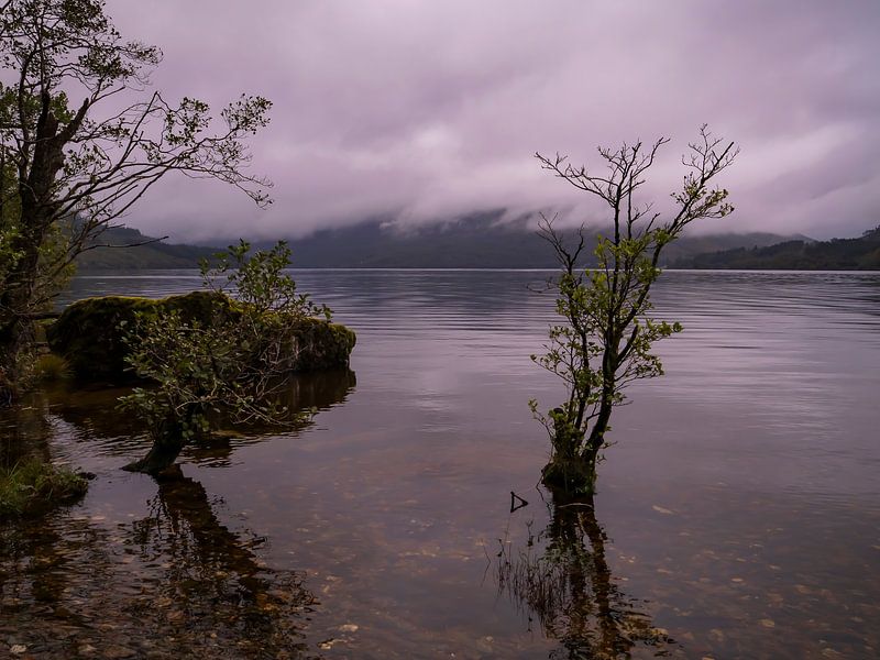 Nebliger Loch Lomond von Willemijn Wolthaus