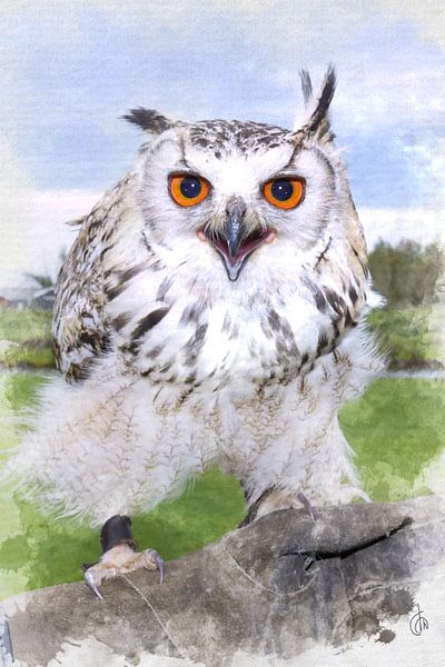 Bubu Bubu (uil) by F.M. Dekker