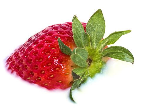 Mooie rode aardbei drijvend in melk