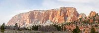 Imposant rotsplateau in Zion National Park van Juriaan Wossink thumbnail